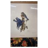 Eastern Bluebirds Signed Print Pack Hill 1973