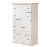 Bostwick Shoals Chest (B139)