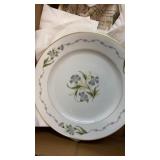 (10) China Plates