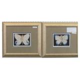 Woman With Wings / Woman With Open Wings by ICart