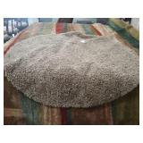 JC Pennys 5x5 Champagne Rug