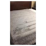 Home Accents 5 x 7 rug