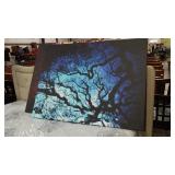 Accent Canvas Prints