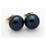 14Kt Tahitian Pearl Earrings