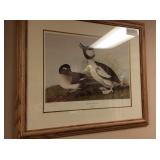 Buffet head ducks framed picture