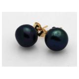 14Kt Tahitian Pearl Earrings