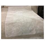 7x5 JC Penny shag rug