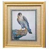 Pergrine Falcon Signed Ray Harm Print (19x22)