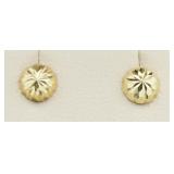 14kt Gold Earrings