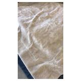 Beige 8 x 10 Non skid rug
