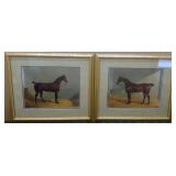 Bay Hunter Brownie I & II - J.F. Herring