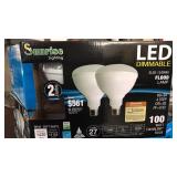 (6) LED 100 Watt Light Bulbs