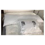 Body & Bed Pillow