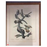 J J. Audubon woodpecker print estate piece
