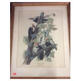 J J. Audubon "pileatus woodpecker" estate print