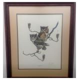 Screach Owl Pencil Signed by Ray Harm