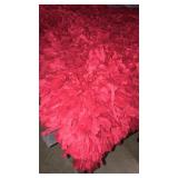 5x7 Red Shag Rug