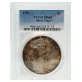 1993 MS66 Rainbow Toned American Eagle