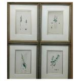 Hand Colored Antique Botanical Engravings