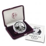 1989 American Silver Eagle 1 Oz. Proof Coin