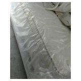 Queen Lady Englander Matt & Box