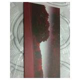 Autumn Night Canvas Print