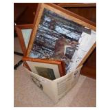 Box 5 pictures