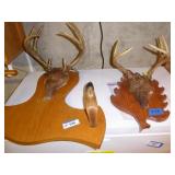 2 antlers