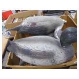 Mallard drake plastic decoys