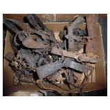 Box of traps