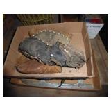 Baseball gloves & ice skates