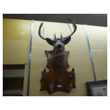 Vintage deer head & hooves mount