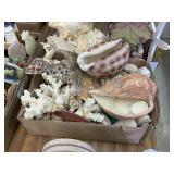 2 flats of seashells