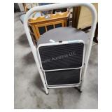 2 step stepladder