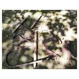Hooks and tongs