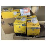 2 Boxes Light Bulbs