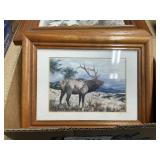 Framed Wildlife Pictures and Belt Buckle