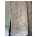 Roll of plush carpet 450sft