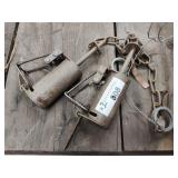 (2) Dog proof traps