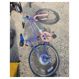 Girls 10 speed bicycle