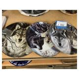 Collector Plates