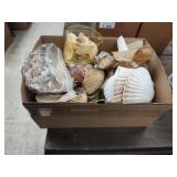 Shells