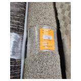 Carpet 12x10