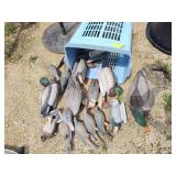 Basket of duck and dove decoys