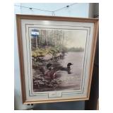 "Spring Return - Common Loon" Knaack print