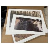 Folder With 3 Nature Prints