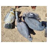 Plastic crows, owl, geese and duck