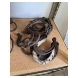 Vintage Horse Shoes