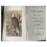 Antique German Bird Book - Dr. Hermann Diimling