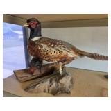 Stuffed birds